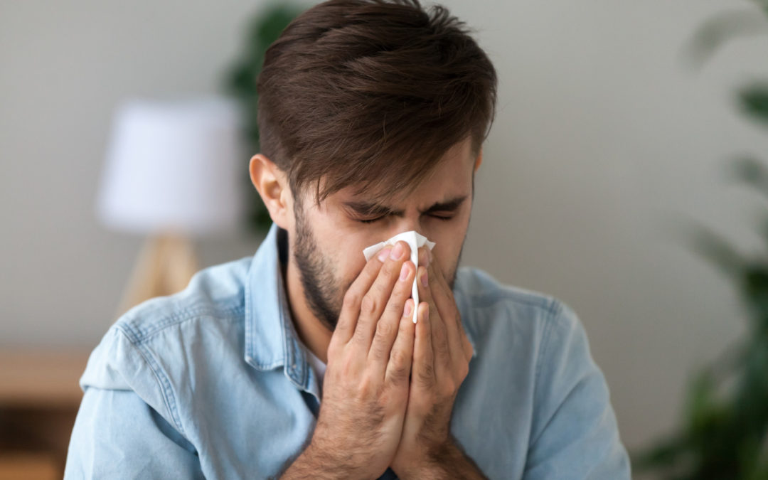 Bei einer Belastung durch HEuschnupfen können Pollenschutzgitter Linderung bedeuten.